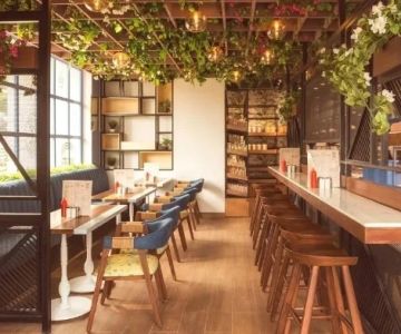 Best Casual Cafes with Amazing Ambiance for Relaxing and Dining