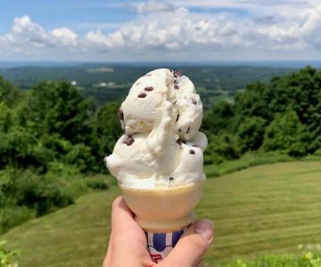 Why Ice Cream Shops Worth Traveling For Are A Must-Visit | Brunch & Snack Chat