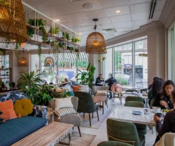 Your Ultimate Guide to Casual Cafes