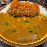 Best Japanese Curry Restaurants in the USA: A Guide to Flavorful Dining