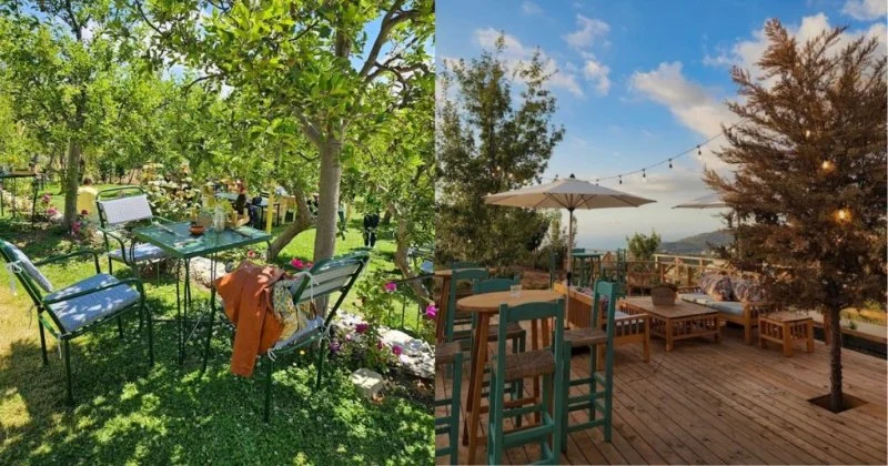 Best Lebanese Brunch Spots with Outdoor Patios