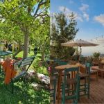 Best Lebanese Brunch Spots with Outdoor Patios