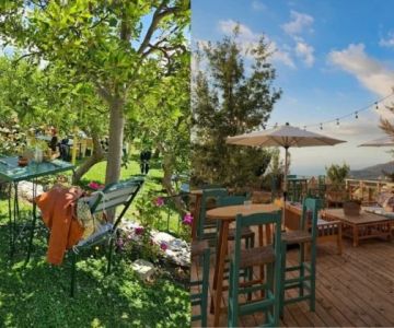 Best Lebanese Brunch Spots with Outdoor Patios