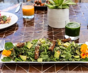 Best Vegan Restaurants With Craft Pastries: A Culinary Guide